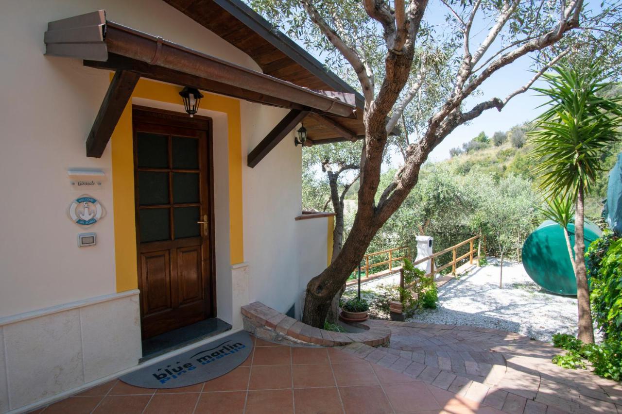 Aparthotel Blue Marlin Vacanze Marina di Camerota Exterior foto