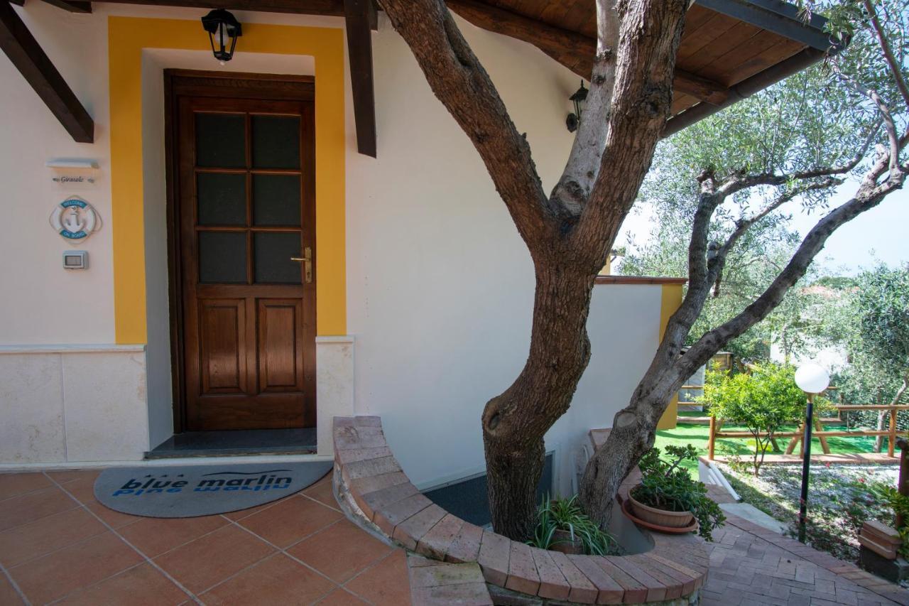 Aparthotel Blue Marlin Vacanze Marina di Camerota Exterior foto